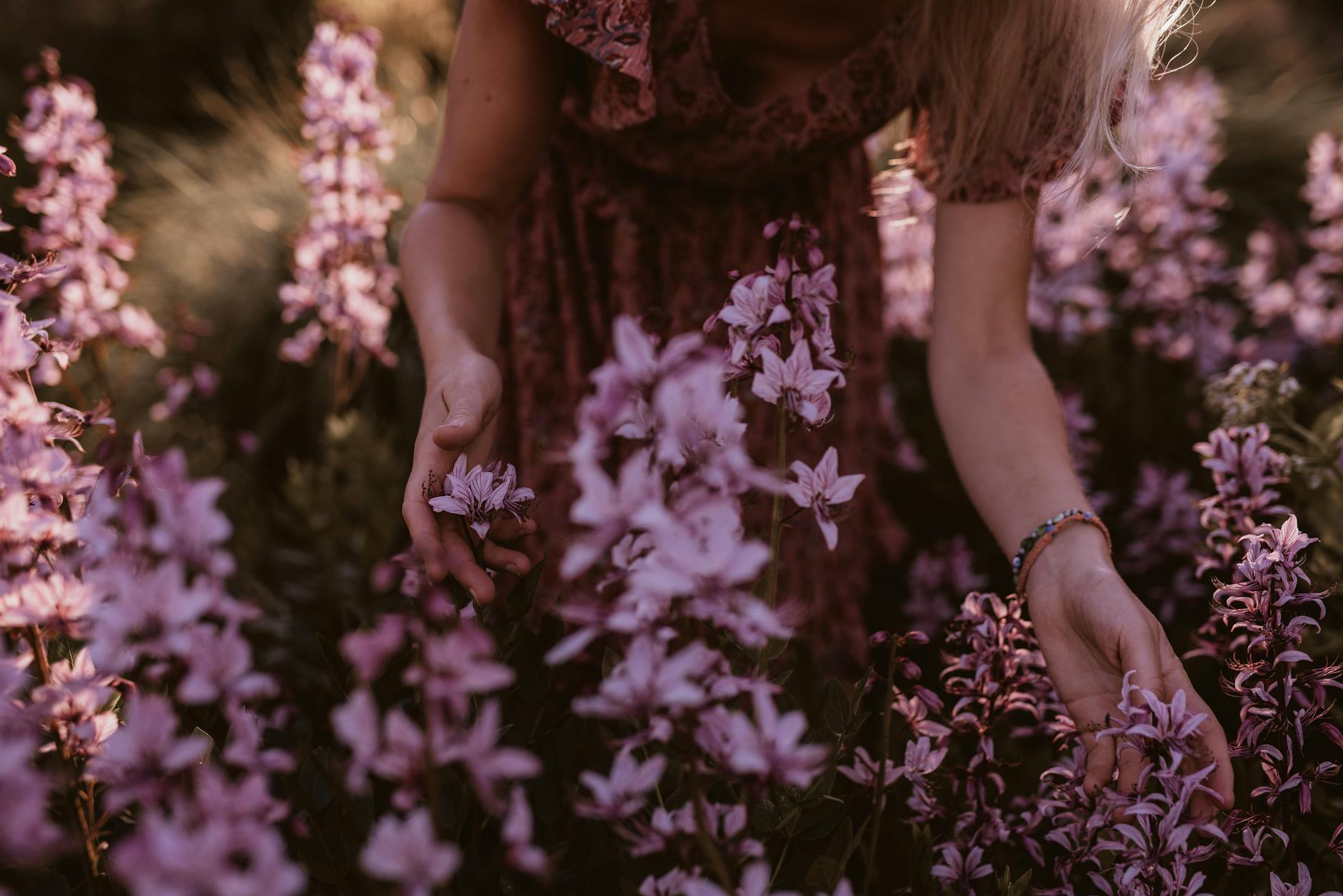 Angel Number 818: Abundance Surrounds Your New Beginning